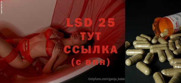 PSILOCYBIN Балабаново