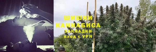 PSILOCYBIN Балабаново