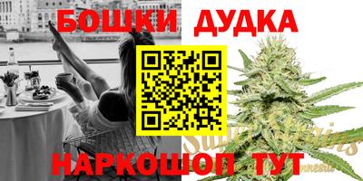МДПВ Дубна