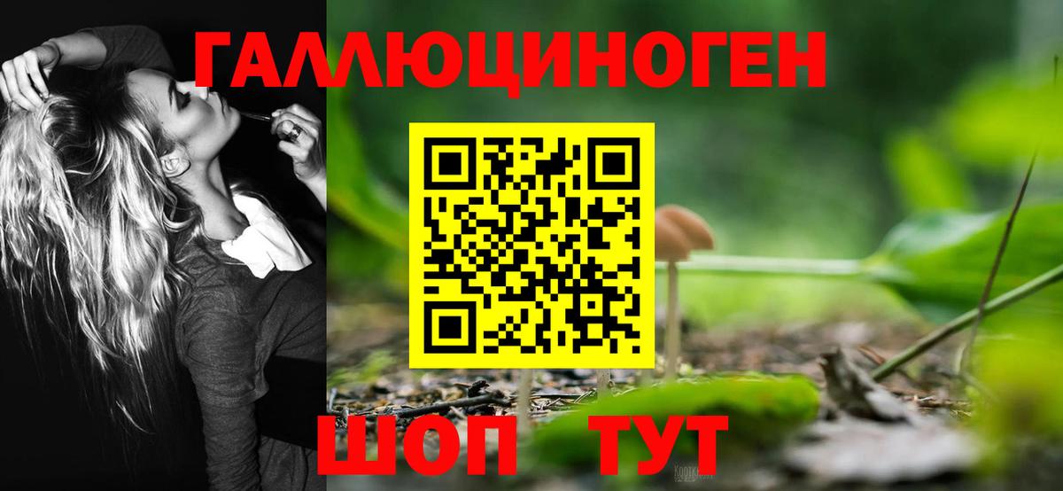Псилоцибиновые грибы MAGIC MUSHROOMS Ногинск