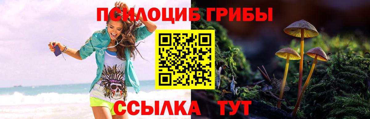 Галлюциногенные грибы MAGIC MUSHROOMS  Псилоцибиновые грибы Magic Shrooms  Ногинск  Вход с VPN 